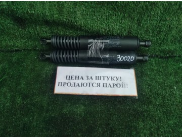 Амортизатор 5-й двери Porsche/ Cayenne/ 955/ к.т.№95551255006